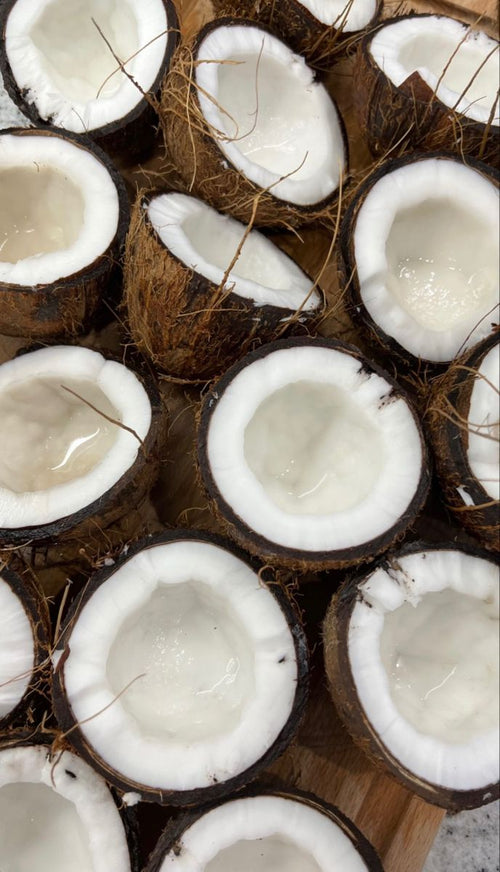 Bougie parfumée Coconut Grove